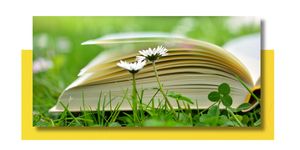 Tuesday Afternoon Bo